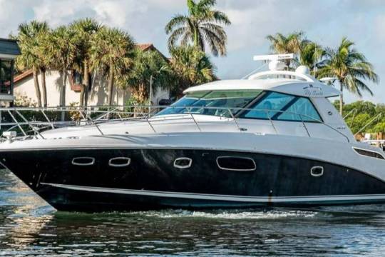 Yacht rental